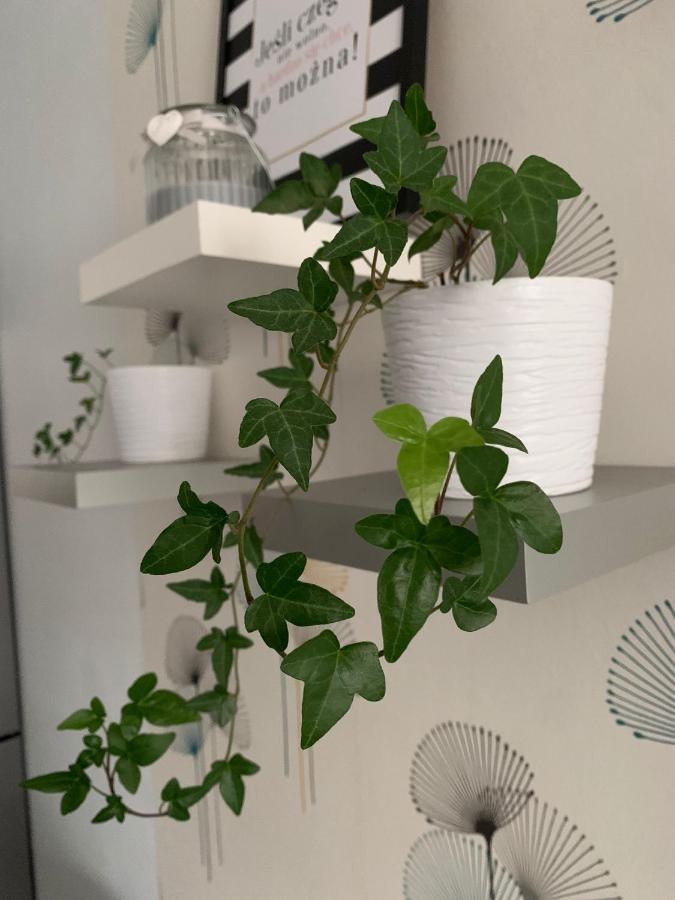 Apartament Polonia Apartment Шчечин Екстериор снимка